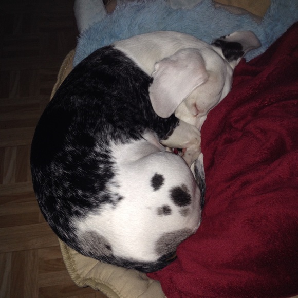 ⚠️ CAUTION! ⚠️ - Picture 6 of 7